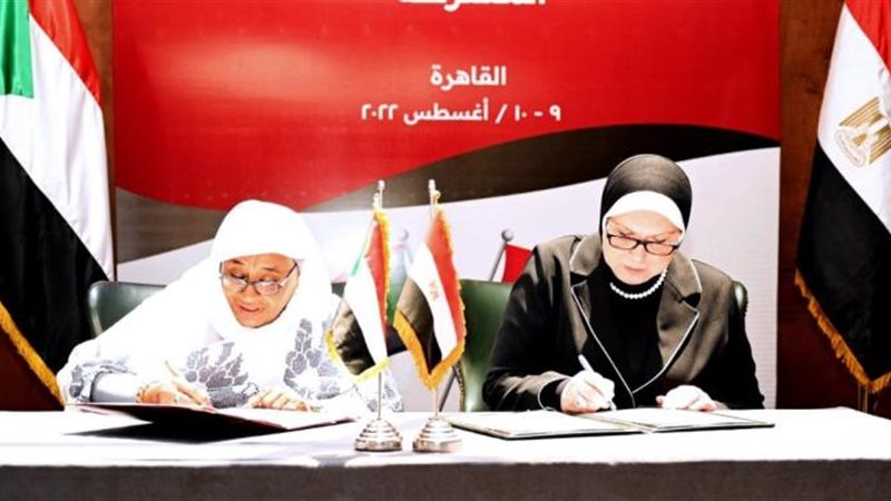 العلاقات المصرية