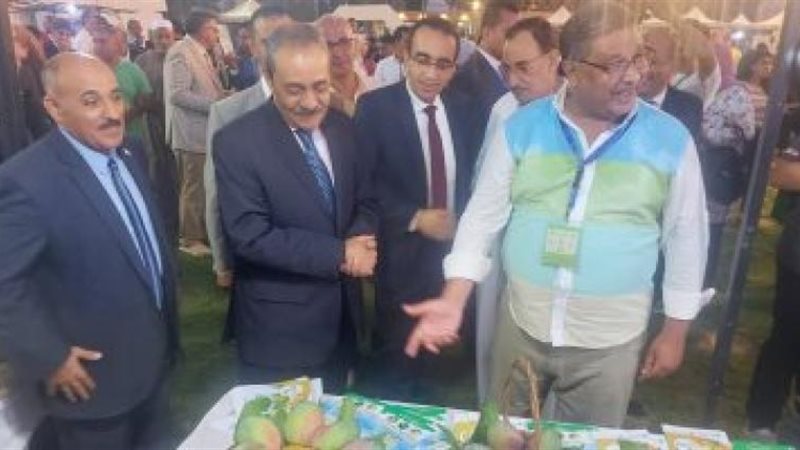 محافظ الإسماعيلية