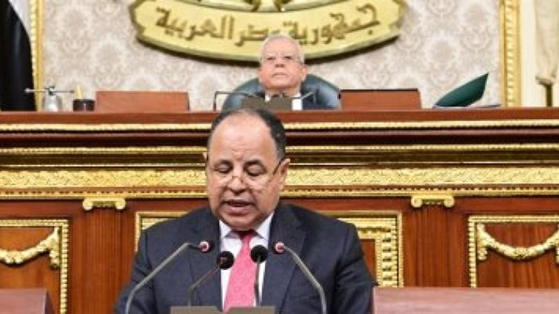 وزير المالية