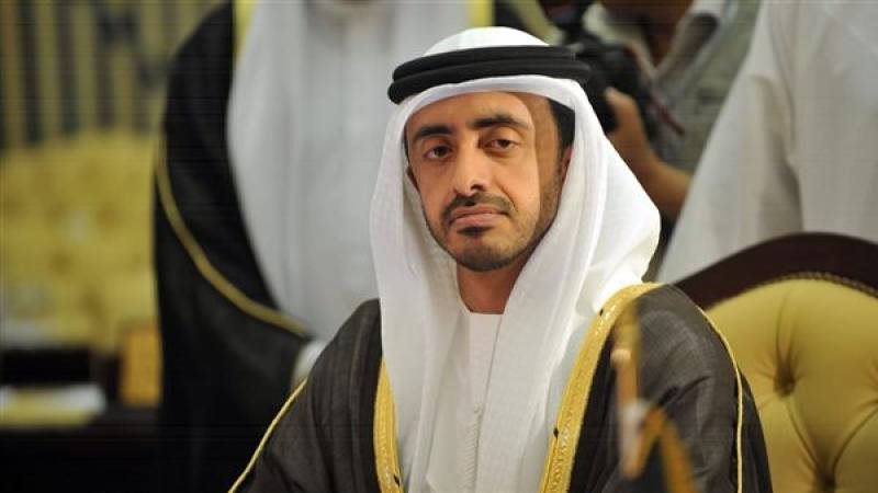 وزير الخارجية الإماراتى
