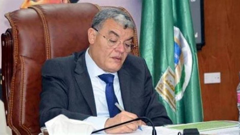 محافظ المنيا