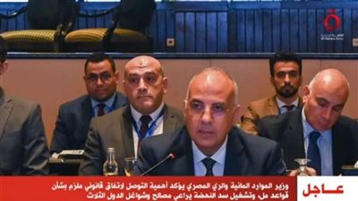 وزير الري يؤكد أهمية التوصل لاتفاق قانوني ملزم بشأن قواعد ملء وتشغيل سد النهضة
