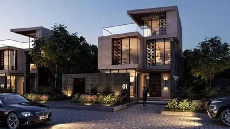 وجه مصر