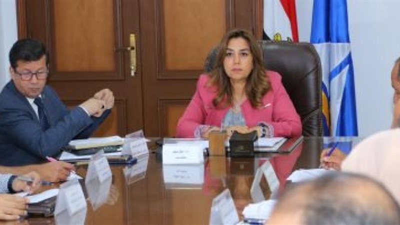 محافظ دمياط