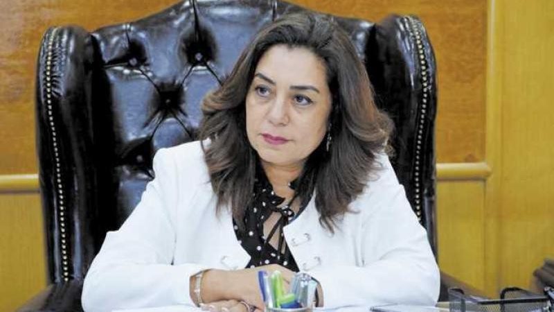 محافظ دمياط