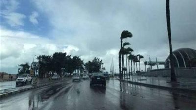 الأرصاد: شبورة على الطرق وأمطار بالسواحل الشمالية والصغرى بالقاهرة 12 درجة