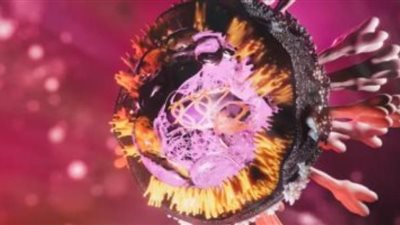 ما هو فيروس ماربورج ؟.. اعرف الأعراض وطرق الوقاية