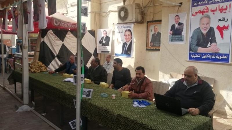 انتخابات المهن التمثيلية