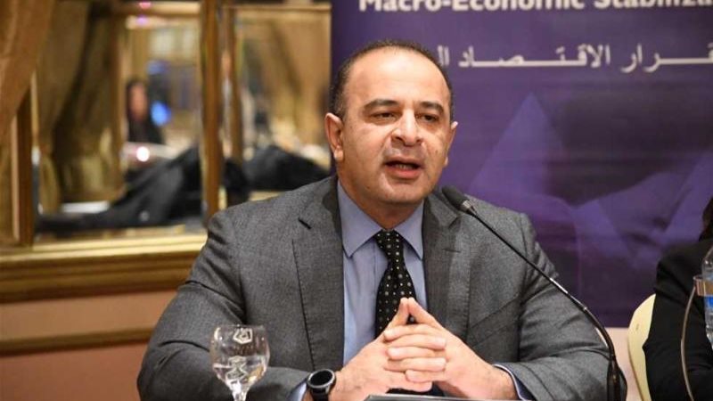 نائب وزيرة التخطيط