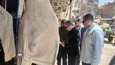 ضبط سلع غذائية مجهولة المصدر ومنتهية الصلاحية في كفر الشيخ