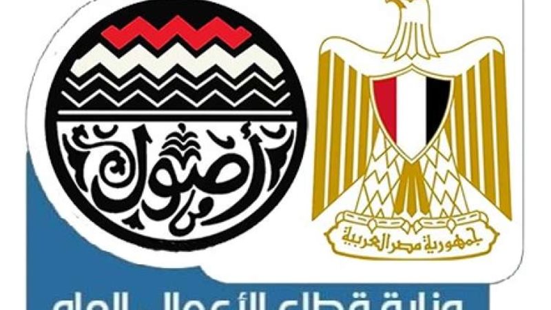 وزارة قطاع الأعمال