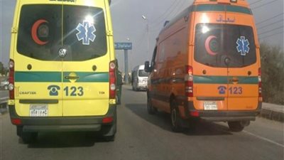 جميعهم من منيا القمح .. نجاة ١٥ شخص من الموت في الشرقية