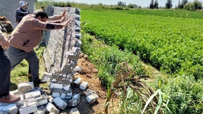 إزالة 7 حالات تعدِ على 6 قراريط بكفر الشيخ