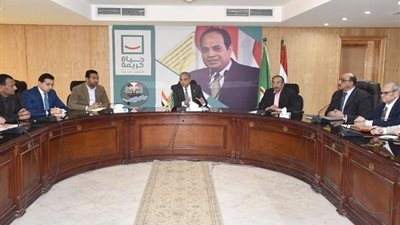 محافظ الفيوم يتابع آليات استلام وتوريد محصول القمح المحلى