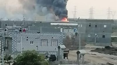 حريق يلتهم 8 ألاف دجاجة بمزرعة بقرية بكفر الشيخ