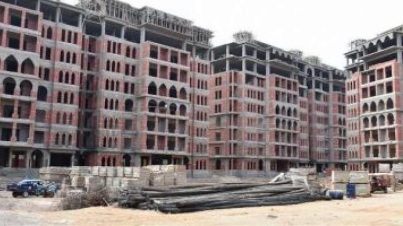  المجلس الأعلى للتخطيط