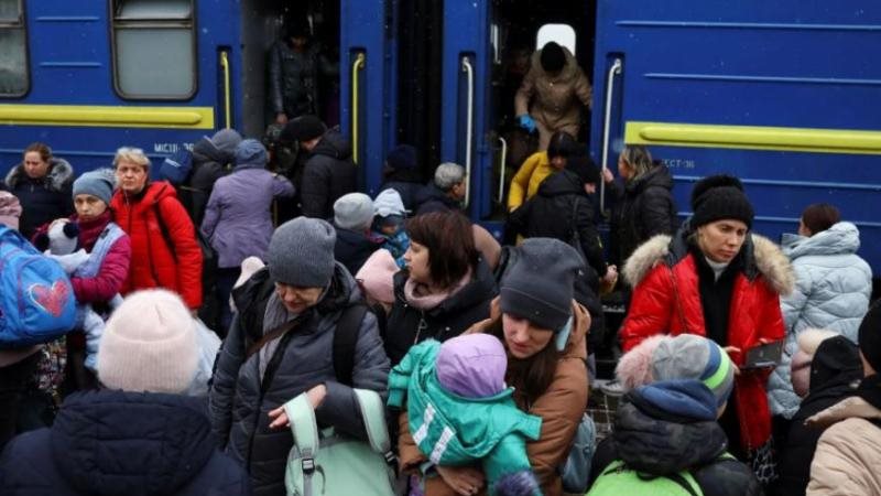 لاجئي أوكرانيا