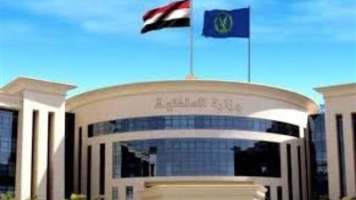 الداخلية تكشف حقيقة تداول فيديو قيام شخص بسرقة السيارات بالدقهلية