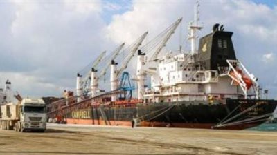 ميناء دمياط يستقبل 12 سفينة متنوعة خلال 24 ساعة