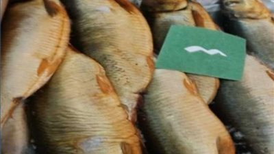 ضبط أسماك رنجة وفسيخ فاسدة قبل بيعها للمواطنين فى الوراق