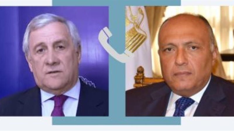 وزير الخارجية ونظيره