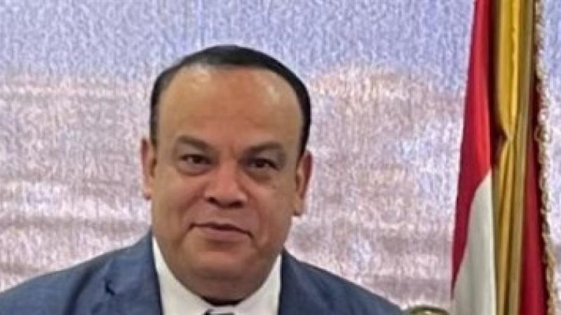 المستشار حازم بدوى