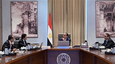 مدبولي يتابع مع وزير الشباب والرياضة عددًا من ملفات العمل