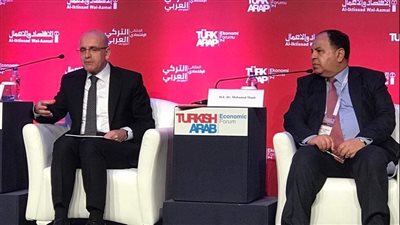 وزير المالية: حزمة حوافز لجذب القطاع الخاص المحلي والأجنبي للاستثمار في مصر 