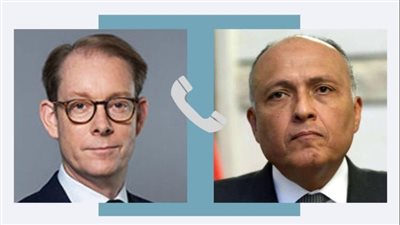 وزير الخارجية يؤكد لنظيره السويدي ضرورة وقف إطلاق النار في غزة