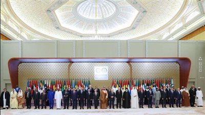 الدول العربية والإسلامية تدعم مصر في قرارات مواجهة تبعات العدوان على غزة
