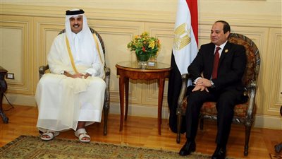 مصر وقطر تنتقدان المجتمع الدولي وتطالبان بالتحقيق في حرب غزة
