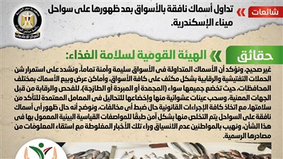 الحكومة تكشف حقيقة تداول أسماك نافقة بالأسواق بعد ظهورها على سواحل الإسكندرية