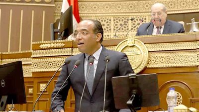 نائب بالشيوخ: تعديلات قانون الإجراءات الجنائية تساهم فى تعزيز حقوق الإنسان