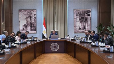 رئيس الوزراء يتابع الموقف التنفيذي لمشروع تطوير المنطقة الأثرية بهضبة الأهرامات