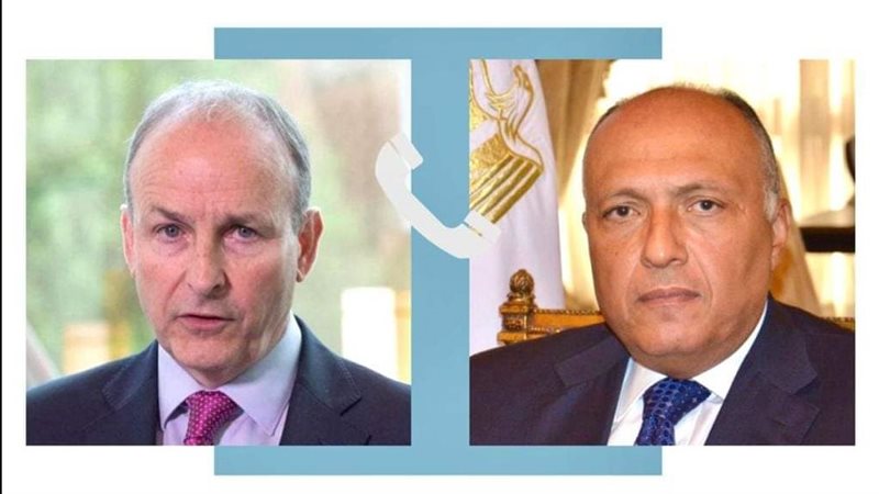 سامح شكري ووزير خارجية