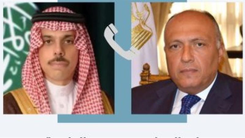 سامح شكري ووزير الخارجية