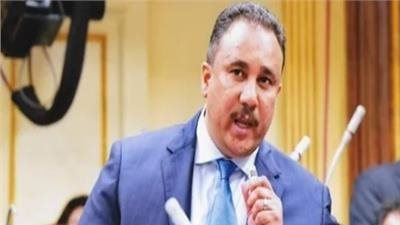 برلماني: مصر جنّبت المنطقة الدخول في نفق مظلم