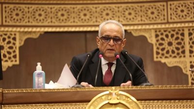 وكيل مجلس الشيوخ يدعو المصريين بالخارج للمشاركة الإيجابية بانتخابات الرئاسة