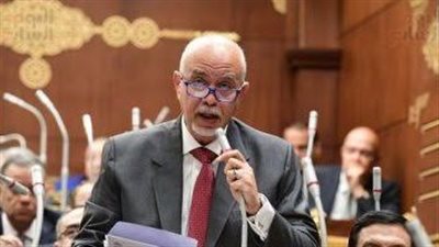 النائب حازم الجندى: القيادة السياسية حريصة على تحويل حقوق الإنسان لواقع ملموس