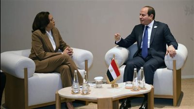 الرئيس السيسي يؤكد تردى الأوضاع الإنسانية في غزة ويطالب باستعادة التهدئة