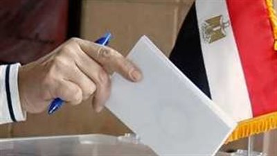 لو مغترب في محافظة القاهرة.. اعرف اللجان الانتخابية الخاصة بالوافدين