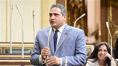 برلماني: ما حدث من تنمية في عهد السيسي يحتاج إلى مجلدات