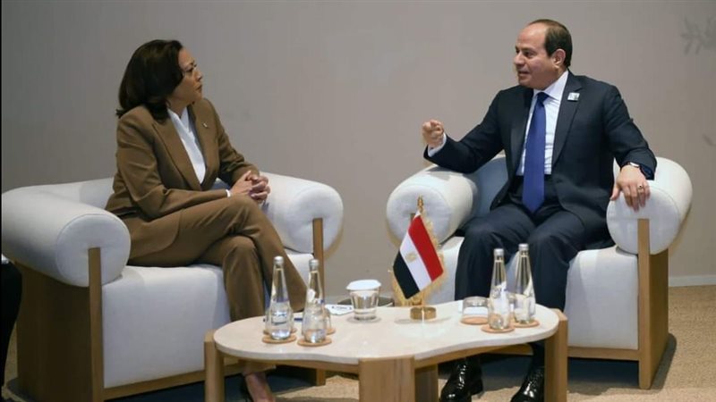 الرئيس السيسي ونائبة