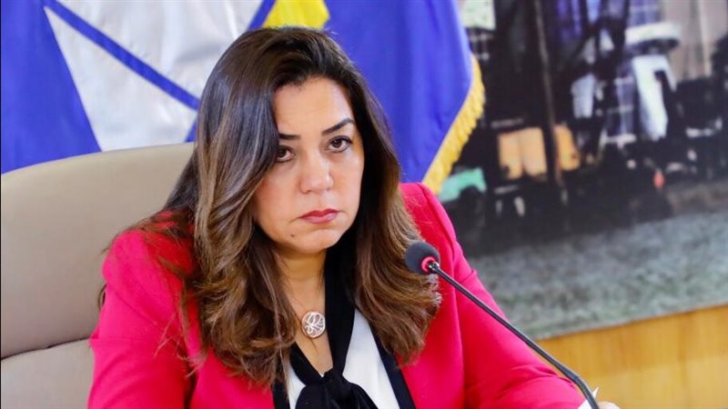 محافظ دمياط