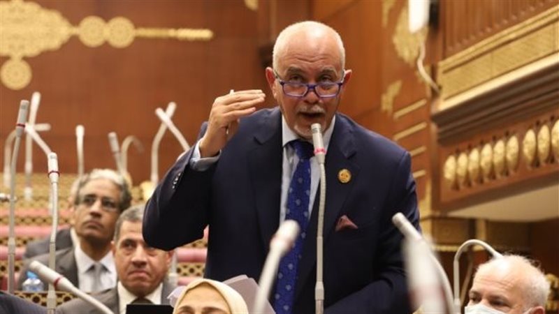 النائب حازم الجندي