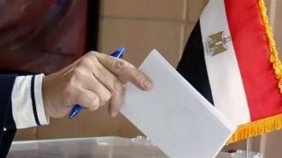 انتخابات الرئاسة.. من يسمح له بمتابعة التصويت داخل اللجان؟