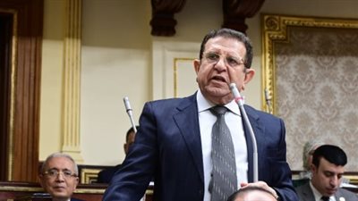 برلمانى يثمن جهود مصر لوقف الحرب على غزة.. ويطالب بحماية دولية للفلسطينيين