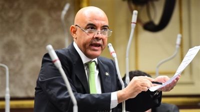 برلماني: المصريون أبهروا العالم بمشاركتهم في الانتخابات الرئاسية