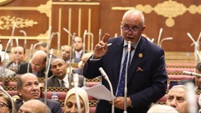 النائب حازم الجندى يطالب بإطلاق مشروع ثقافى قومى لتعزيز الوعى فى مواجهة الشائعات