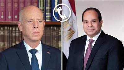 الرئيس التونسي يهنئ السيسي بمناسبة إعادة انتخاب رئيسًا لمصر